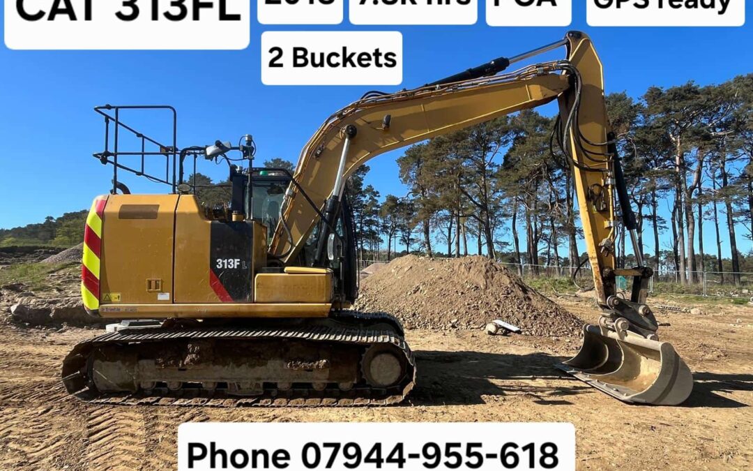 CAT 313FL